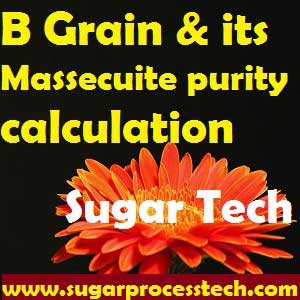 B massecuite purity online calculation sheet | Sugar Technology | Grain and molasses ratio calculation for B continuous pan