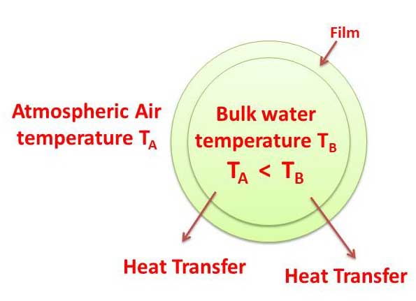 Cooling Tower Theory - Heat is transferred from water drops to the surrounding air | Natural draft water-cooling tower | Basic concepts of cooling tower, types of cooling towers, formula for cooling tower efficiency | Make-up water, Drift Losses, Evaporation losses & Blowdown | sugarprocesstech